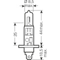 H1 Blau Weiß 12V 55W Halogen Auto Glühbirne Autolampen